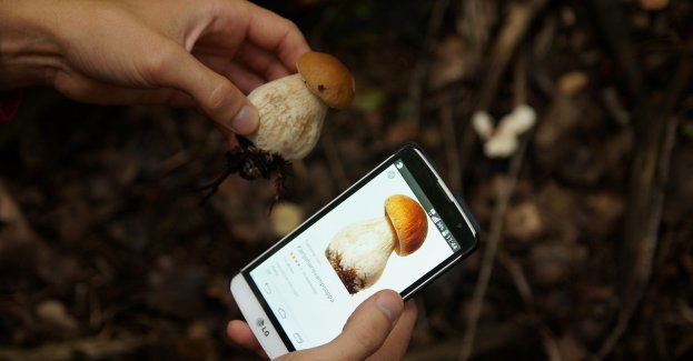 Wybierając się do lasu pomyśl o swoim bezpieczeństwie