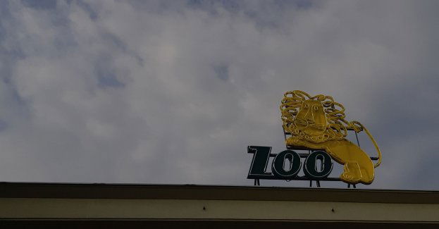 Król od dziś jeździ MPK!