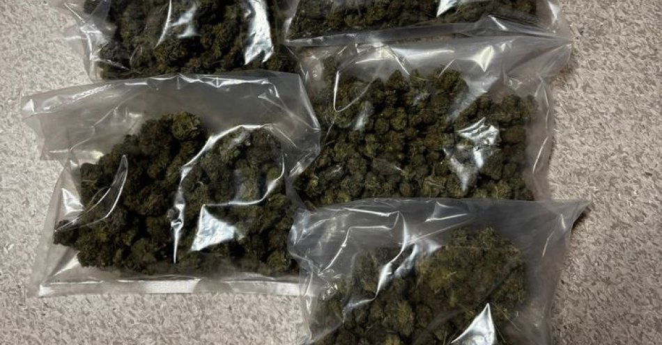 zdjęcie: Dzierżoniów: ponad pół kilograma narkotyków zabezpieczone / fot. KPP w Dzierżonowie