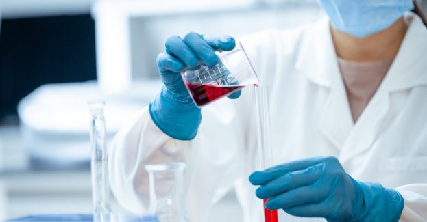 Uniwersytet Medyczny we Wrocławiu najlepszą polską uczelnią medyczną