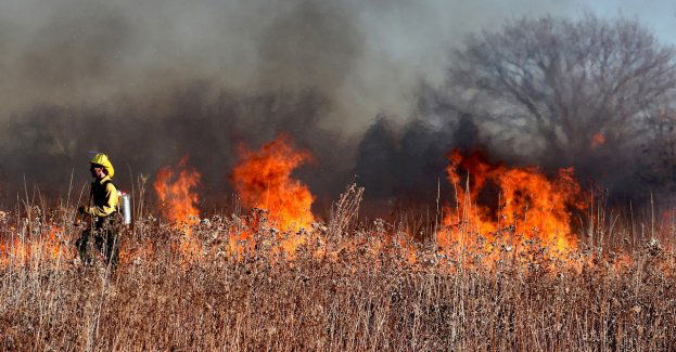 Strażacy apelują o niewypalanie traw