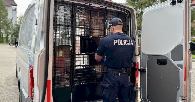 25-latka usłyszała zarzuty za oszustwo 28 osób z terenu Polski