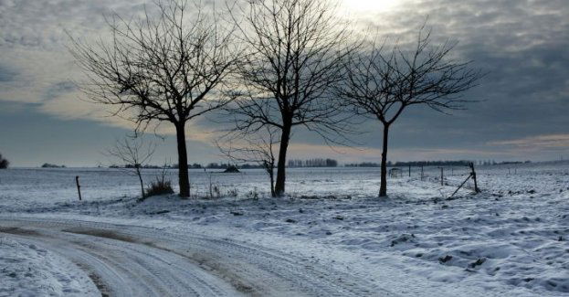 W poniedziałek śnieg i mróz na Suwalszczyźnie, deszcz na zachodzie