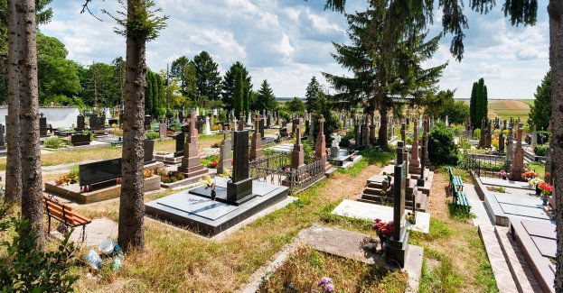 W weekend na ulice wyjedzie cmentarna linia C40, zmieni się lokalizacja przystanków przy cmentarzach