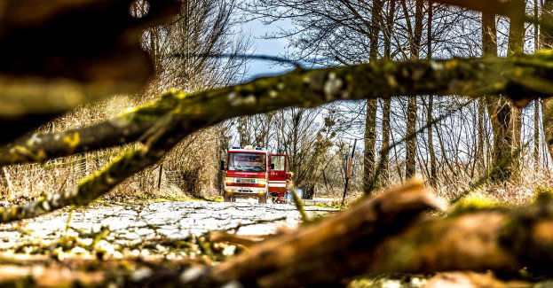35 interwencji strażackich po wichurach i ulewach w regionie
