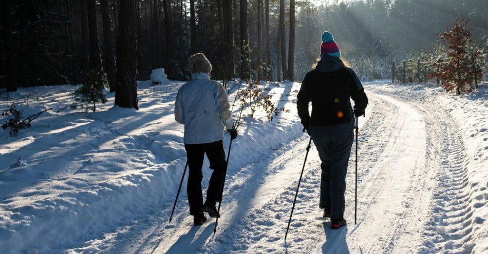 zdjęcie: Druga tura ferii zimowych z nieustępującymi ujemnymi temperaturami i mroźną aurą / Majówka, Puszcza Knyszyńska, woj. podlaskie, 21.01.2026. Lasy Puszczy Knyszyńskiej w zimowej i słonecznej odsłonie. N/z turysta z kijkami na leśnej drodze (mz/awol) PAP/Michał Zieliński