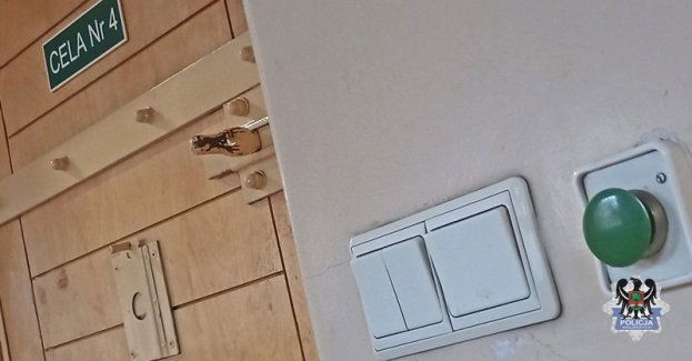 Unikasz odpowiedzialności za popełnione czyny karalne. Licz się z zatrzymaniem