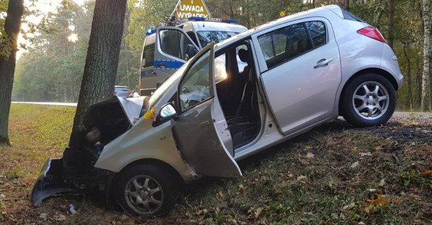 Zjechał z drogi i uderzył w drzewo