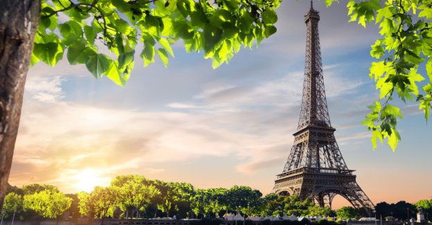 Afgańczyk szedł poboczem S8 i myślał, że jest w Paryżu