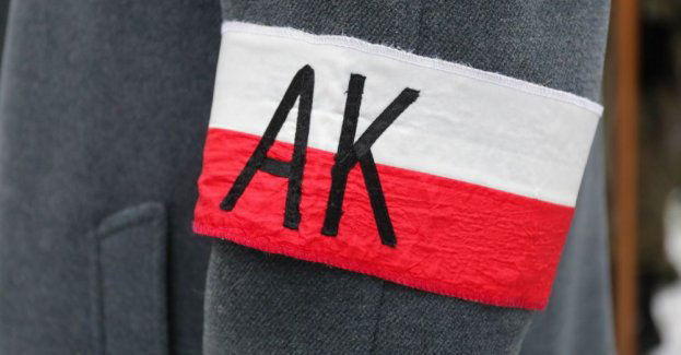 Sejm przyjął ustawę o ustanowieniu Narodowego Dnia Pamięci Żołnierzy Armii Krajowej