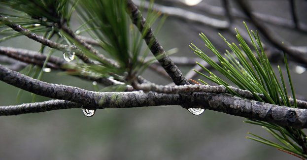 Prognoza pogody na 6 i 7 lutego