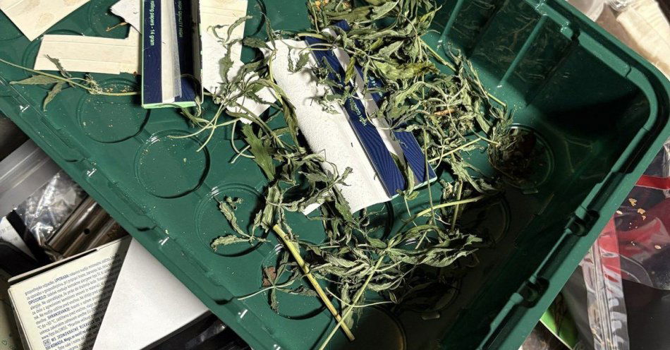 zdjęcie: Poszukiwany wpadł z amfetaminą i plantacją konopi / fot. KPP Kędzierzyn Koźle