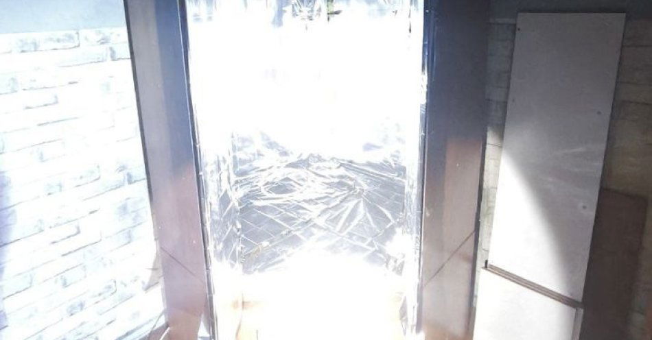 zdjęcie: Trzech zatrzymanych w Dąbrowie Górniczej za nielegalną uprawę / fot. KMP w Dąbrowie Górniczej