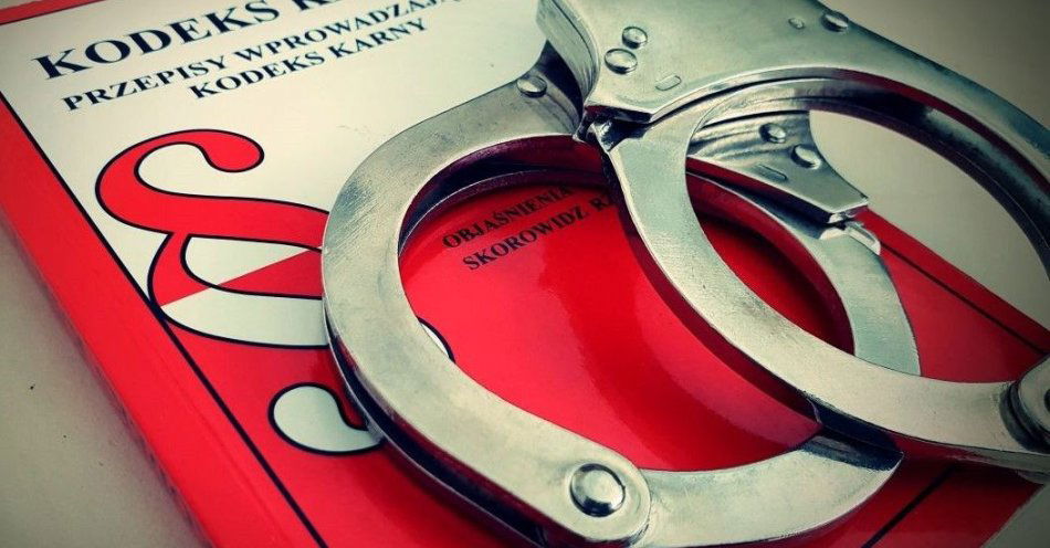 zdjęcie: Sądowy zakaz nie powstrzymał trzydziestolatka. Zatrzymanie na drodze / fot. KPP w Sokołowie Podlaskim