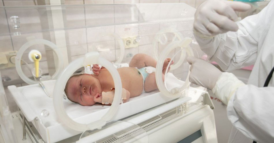 zdjęcie: Dzień Wcześniaka w Rudzie Śląskiej / v20496406