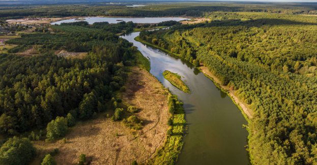 Powstają cztery nowe rezerwaty przyrody o łącznej powierzchni 207 ha