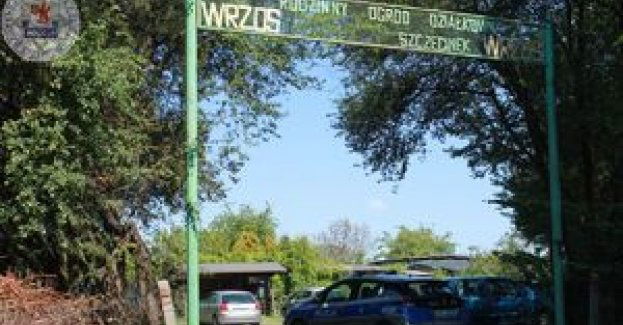 Dzielnicowi kontrolowali ogródki działkowe na terenie miasta