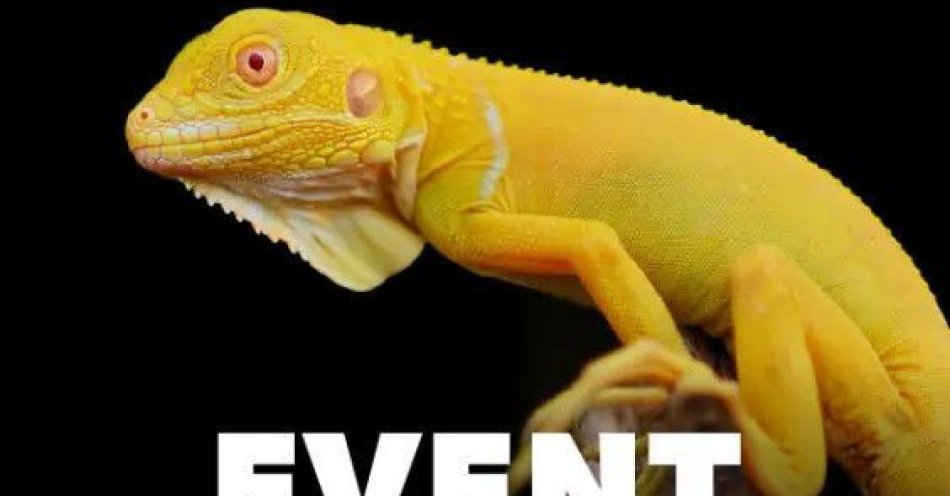 zdjęcie: ZooEgzotyka Wrocław 14 grudnia 2025 / kupbilecik24.pl / ZooEgzotyka Wrocław 14 grudnia 2025