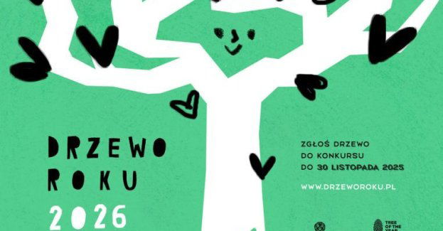 Drzewo Roku 2026 - zgłoś swoje ulubione drzewo do konkursu