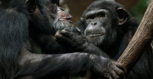 Rozpoczyna się zbiórka orzechów i żołędzi dla zwierzaków w zoo