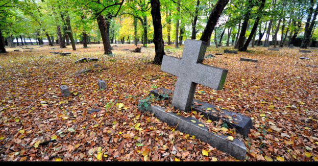 Porządkowanie cmentarza ewangelickiego