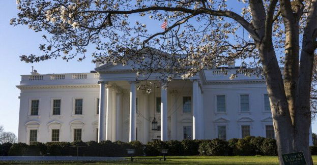 Trump i Putin uzgodnili częściowe zawieszenie broni w Ukrainie, dotyczące energetyki i infrastruktury