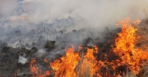 Pożar w Biebrzańskim PN nie rozprzestrzenia się, ale nie jest pod kontrolą