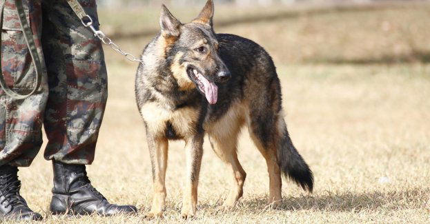 Policjanci poszukują mężczyzny, który nożem ranił dwie osoby w Legnicy (aktl.)