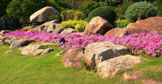 Wege Park - nowe zielone miejsce na mapie Wilanowa