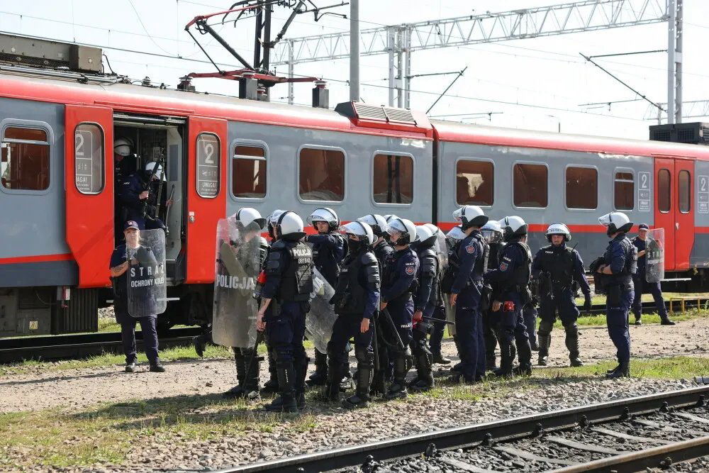 zdjęcie: Łódź: agresywny pasażer i ładunki wybuchowe w pociągu – ćwiczenia służb / Łódź, 09.09.2026. Szkolenie przewodników psów służbowych Policji oraz Straży Ochrony Kolei, na bocznicy kolejowej POLREGIO w Łodzi, 9 bm. W ramach zajęć policyjni przewodnicy wraz z psami służbowymi kategorii patrolowo-tropiącej będą doskonalić swoje umiejętności w zakresie działań prowadzonych na terenie obiektów kolejowych i w środkach transportu zbiorowego. Psy będą wykorzystywane m.in. do wyszukiwania zapachów materiałów wybuchowych oraz narkotyków. W szkoleniu uczestniczyć będą również prze