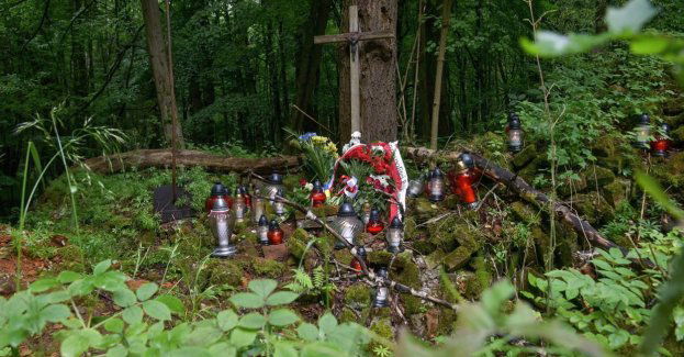 Ukraiński IPN planuje w przyszłym roku poszukiwania szczątków ofiar tragedii wołyńskiej