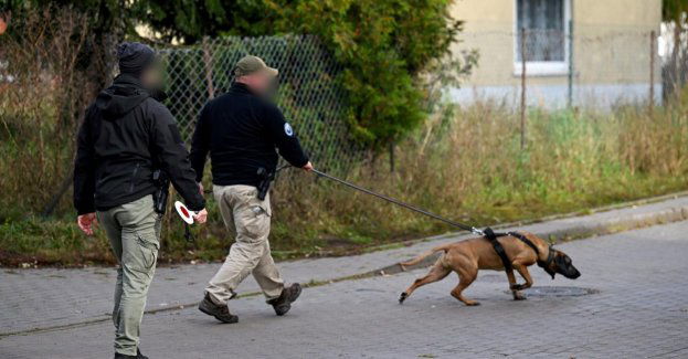 Poszukiwania Grzegorza Borysa ponownie skoncentrowane w okolicy miejsca zabójstwa
