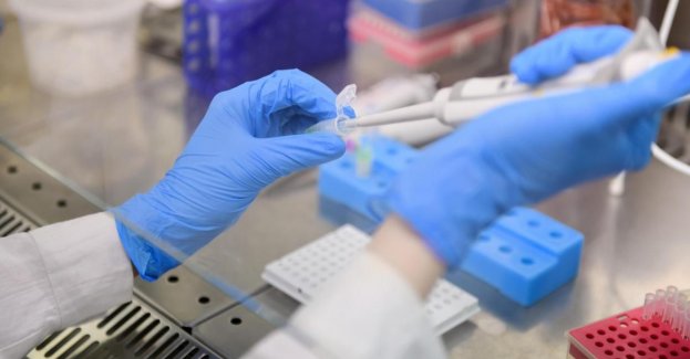 Minionej doby 62 zakażenia koronawirusem, nie zmarł żaden chory z COVID-19