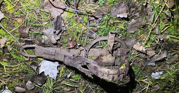 Lis uwięziony w żelazie uratowany przez policję i strażaków