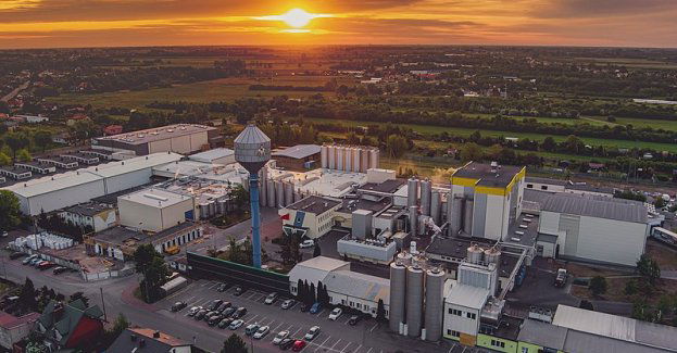 Odkryj Łowicz: miasto nad Bzurą