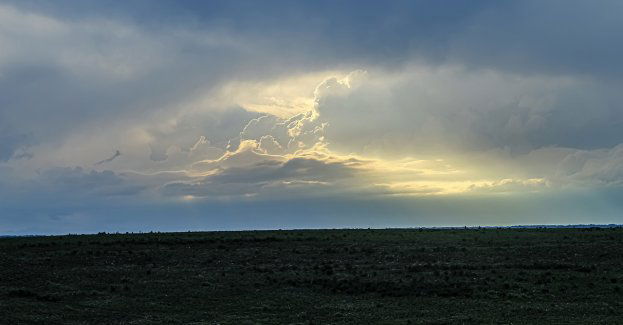 Strażacy apelują o ostrożność w związku z burzami i silnym wiatrem