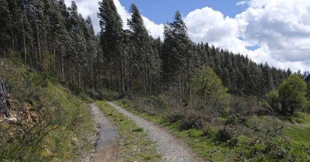 W Beskidach warunki na szlakach są bardzo dobre