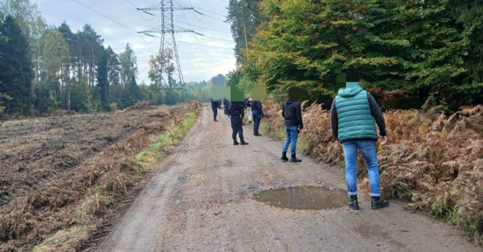 zdjęcie: Senior odnaleziony dzięki czujności grzybiarzy i policji / fot. KMP w Gliwicach