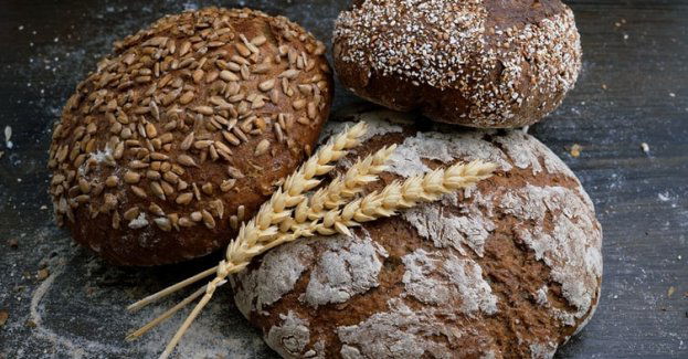 Informacje o glutenie , o których nie wiesz!