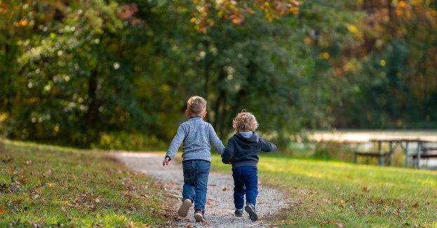 W miejsce wydeptanych ścieżek trasa edukacyjna
