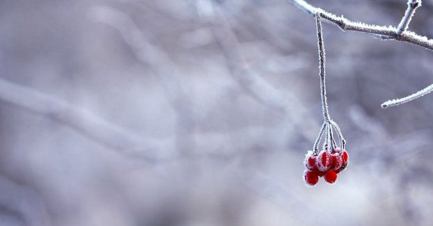 Dziś w nocy wraca zima. IMGW wydał ostrzeżenia przed niskimi temperaturami