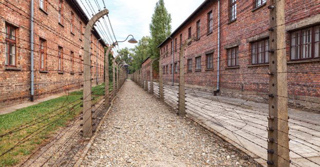 Otwarcie pierwszej części nowej wystawy głównej jeszcze w tym roku