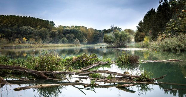 Poszukują 32-latka, który w nocy wskoczył do rzeki Wieprz