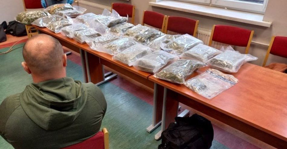 zdjęcie: Mocne uderzenie w narkobiznes - ponad 12 kg marihuany nie trafi na dolnośląski rynek / fot. KPP w Lwówku Śląskim