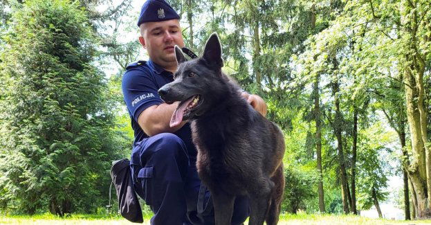 Aby przeszli na drugą stronę - to motto przewodników psów do wyszukiwania zapachu zwłok ludzkich. Jedyny taki pies na Mazowszu będzie teraz pełnił s