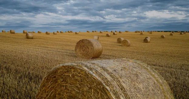 Przez weekend trochę wytchnienia w pogodzie; w poniedziałek burze i upał