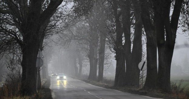 GDDKiA: wszystkie drogi krajowe są przejezdne, mgła w 14 województwach; IMGW wydał ostrzeżenia