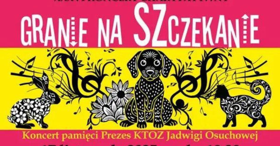 zdjęcie: XXXVI Koncert Charytatywny Granie na Szczekanie w Krakowie / kupbilecik24.pl / XXXVI Koncert Charytatywny Granie na Szczekanie w Krakowie
