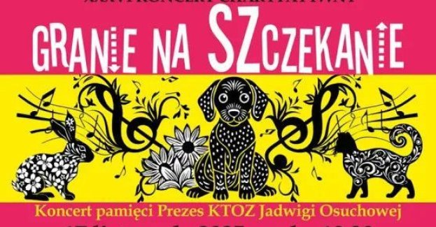 XXXVI Koncert Charytatywny Granie na Szczekanie w Krakowie