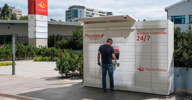 To m.in. latająca po sortowni papuga, czy zagubiona urna
